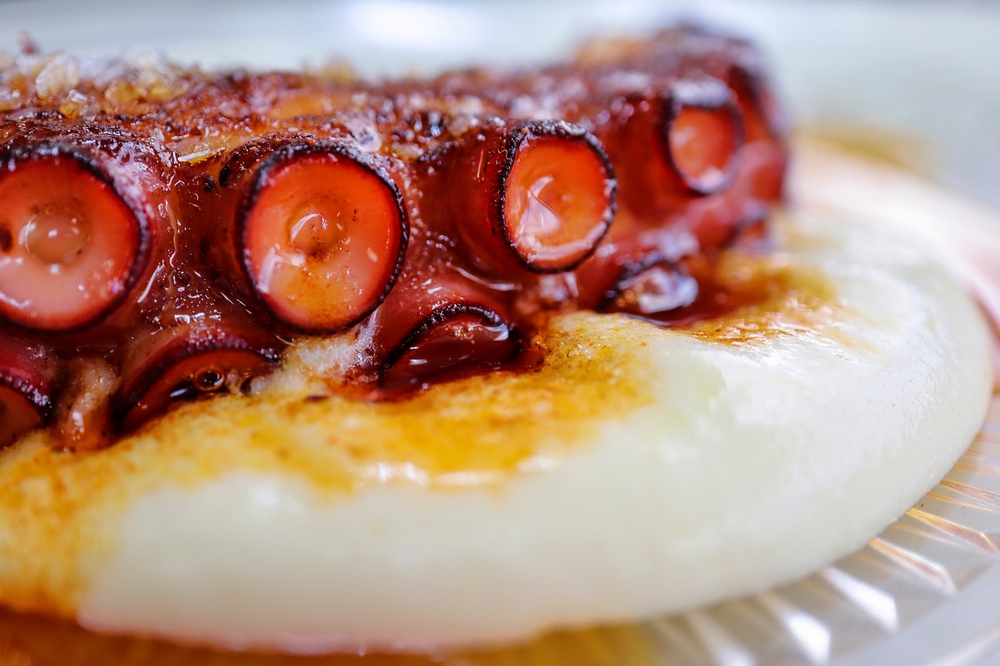 Polpo con crema di patate e chips di carciofi 